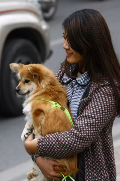 'Hot girl' Hà Nội đổ dồn về 'studio' Kim Mã, mùa cây thay lá ảnh 8