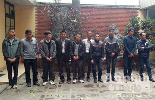 Audio 24-2-2015: Quả mọng Trung Quốc nghi truyền bệnh và “cò mồi” lễ hội chùa Hương ảnh 3