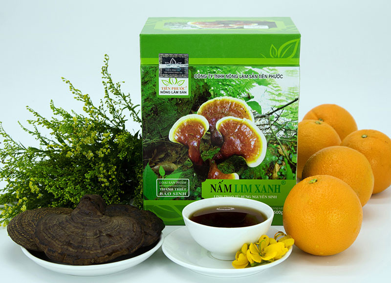 Nấm lim xanh rừng Tiên Phước có tác dụng chữa bệnh gì? ảnh 4