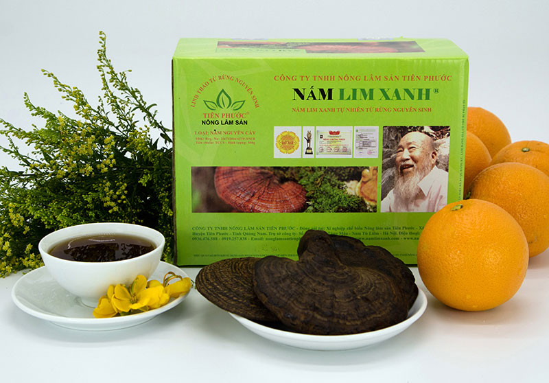 Nấm lim xanh rừng Tiên Phước có tác dụng chữa bệnh gì? ảnh 5