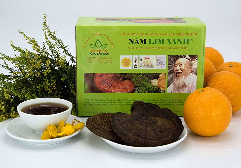 Nấm lim xanh rừng Tiên Phước có tác dụng chữa bệnh gì? ảnh 5