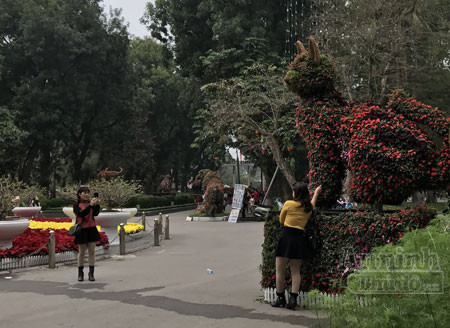 12 con giáp "khủng" trong công viên Thống Nhất ra hoa rực rỡ ảnh 4 12 con giáp "khủng" trong công viên Thống Nhất ra hoa rực rỡ ảnh 4