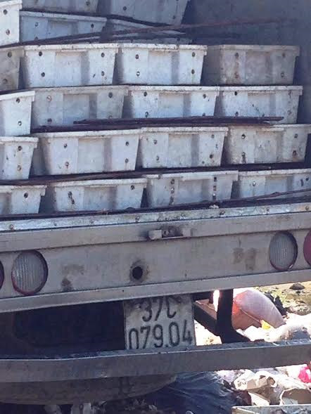 Audio 7-5-2016: Quảng Bình thuê thợ lặn tìm nguyên nhân cá chết dưới đáy biển ảnh 3