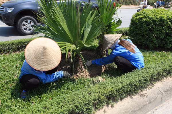 Những phụ nữ mưu sinh dưới nắng nóng đỉnh điểm 39 độ C ảnh 1