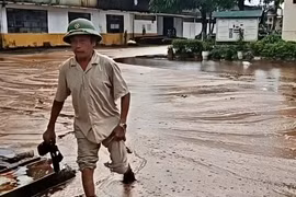 Cảnh báo từ vụ sét đánh làm tràn mật mía tại nhà máy đường Sông Lam