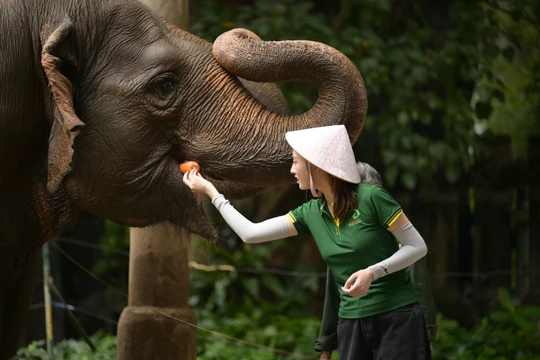 Hoa hậu Lương Thuỳ Linh và hành trình thực tế đầy cảm xúc “Xinh-Đờ-Rê-Linh”