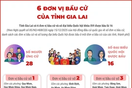 6 đơn vị bầu cử của tỉnh Gia Lai