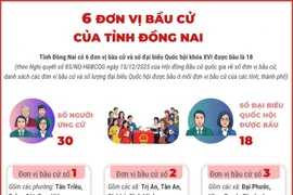 6 đơn vị bầu cử của tỉnh Đồng Nai