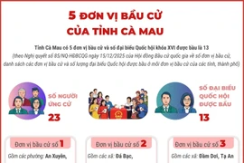 5 đơn vị bầu cử của tỉnh Cà Mau
