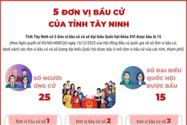 5 đơn vị bầu cử của tỉnh Tây Ninh