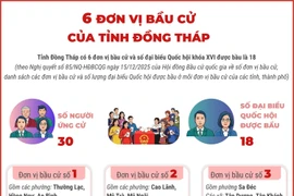 6 đơn vị bầu cử của tỉnh Đồng Tháp