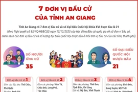 7 đơn vị bầu cử của tỉnh An Giang