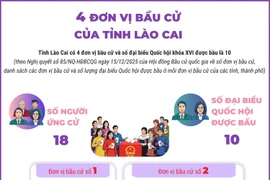4 đơn vị bầu cử của tỉnh Lào Cai