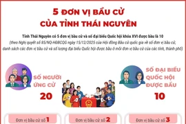 5 đơn vị bầu cử của tỉnh Thái Nguyên