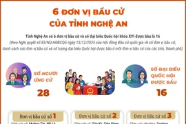 6 đơn vị bầu cử của tỉnh Nghệ An