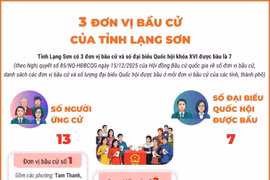 3 đơn vị bầu cử của tỉnh Lạng Sơn