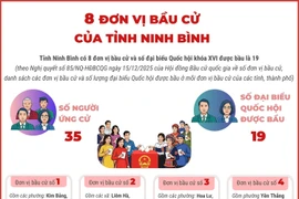 8 đơn vị bầu cử của tỉnh Ninh Bình