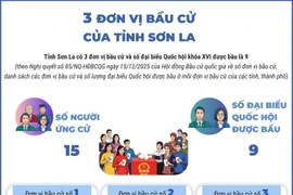 3 đơn vị bầu cử của tỉnh Sơn La