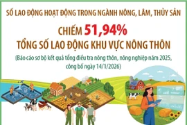 Lao động hoạt động trong ngành nông, lâm, thủy sản chiếm 51,94% tổng số lao động khu vực nông thôn