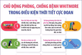 Chủ động phòng, chống bệnh Whitmore trong điều kiện thời tiết cực đoan