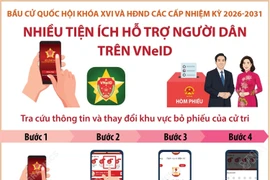 Bầu cử Quốc hội và HĐND các cấp: Cách tra cứu thông tin và thay đổi khu vực bỏ phiếu trên VNeID