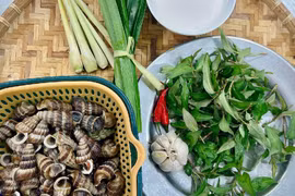 Nhớ thương ốc mút cổng trường 
