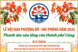 Lễ hội Hoa Phượng Đỏ - Hải Phòng năm 2026: Thanh âm sâu lắng của thành phố Cảng