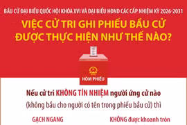 Bầu cử Quốc hội và HĐND: Việc cử tri ghi phiếu bầu cử được thực hiện như thế nào? (Phần 1)