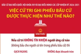 Bầu cử Quốc hội và HĐND: Việc cử tri ghi phiếu bầu cử được thực hiện như thế nào? (Phần 1)
