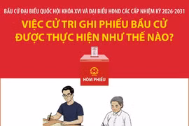 Bầu cử Quốc hội và HĐND: Việc cử tri ghi phiếu bầu cử được thực hiện như thế nào? (Phần 2 và hết)
