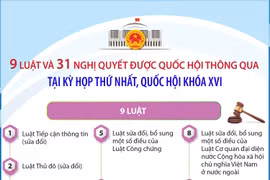 Thông tin về 9 luật và 31 nghị quyết được Quốc hội thông qua tại Kỳ họp thứ nhất, Quốc hội khóa XVI