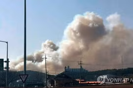 Cháy rừng bùng phát tại nhiều địa phương của Hàn Quốc