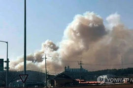Cháy rừng bùng phát tại nhiều địa phương của Hàn Quốc