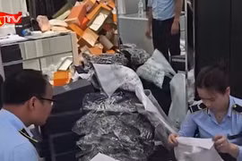 Hà Nội xử lý gần 600 vụ vi phạm, thu nộp ngân sách hàng tỷ đồng