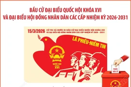 Bầu cử Quốc hội và HĐND các cấp: Thành lập các tổ chức phụ trách bầu cử theo đúng quy định