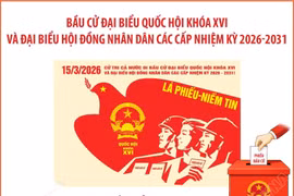 Bầu cử Quốc hội và HĐND các cấp: Thành lập các tổ chức phụ trách bầu cử theo đúng quy định