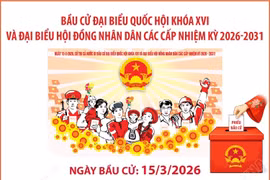 Bầu cử Quốc hội và HĐND các cấp: Cả nước có gần 79 triệu cử tri sẽ tham gia bỏ phiếu