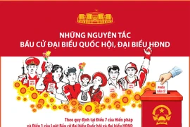 Những nguyên tắc bầu cử đại biểu Quốc hội, đại biểu HĐND (Phần 2 và hết)