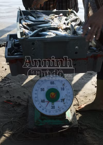 Sóng gió mưu sinh của những người bám biển ảnh 5
