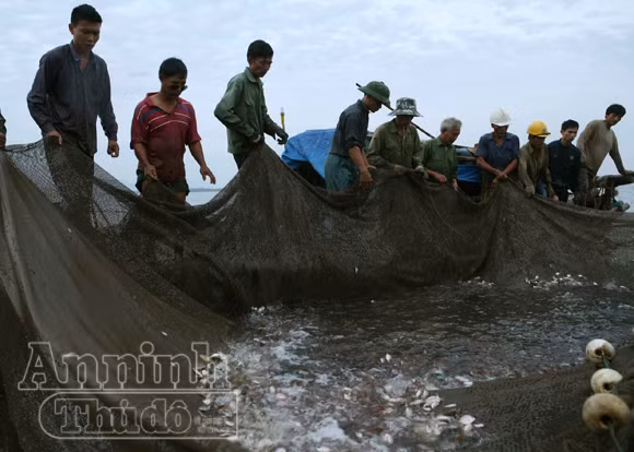 Sóng gió mưu sinh của những người bám biển ảnh 2