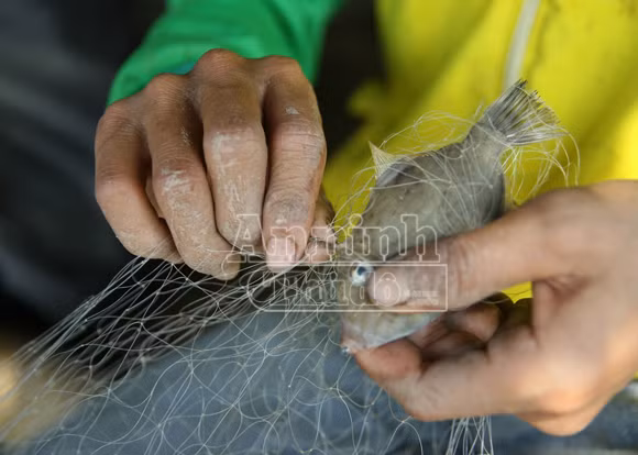 Sóng gió mưu sinh của những người bám biển ảnh 10