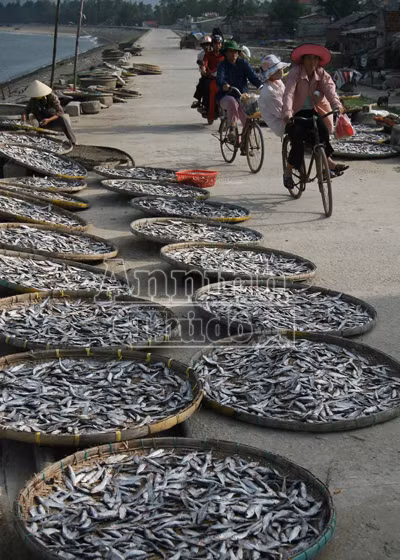 Sóng gió mưu sinh của những người bám biển ảnh 11