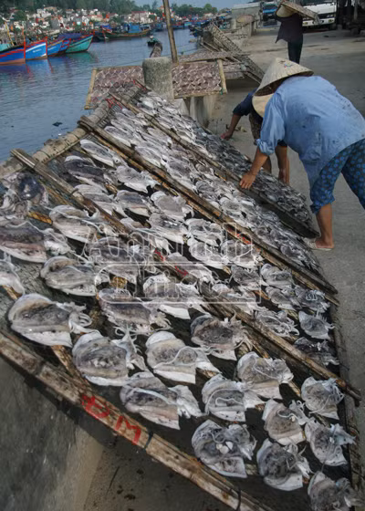 Sóng gió mưu sinh của những người bám biển ảnh 12