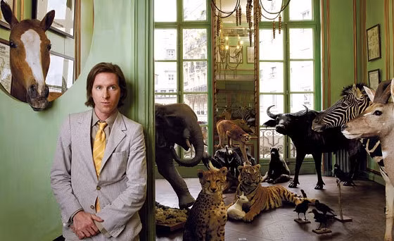 Đạo diễn người Mỹ Wes Anderson