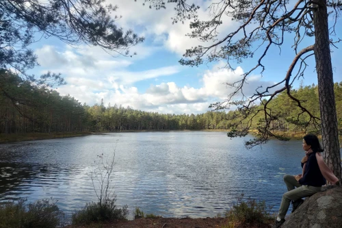 Xuân - Hạ - Thu - Đông: 4 mùa sống chậm ở Kirkkonummi