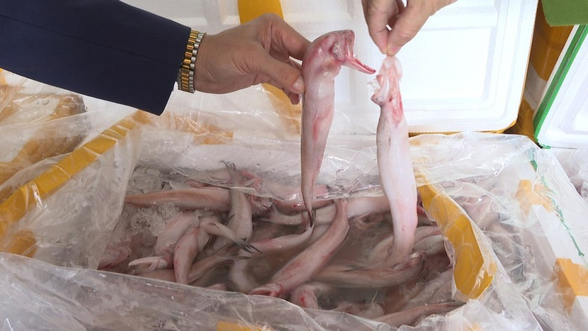 Số cá khoai từ Trung Quốc có hàm lượng formol cao