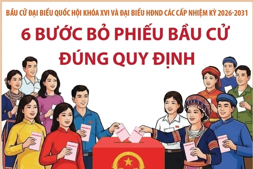 Bầu cử Quốc hội và HĐND: 6 bước bỏ phiếu bầu cử đúng quy định