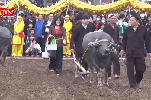 Rộn ràng lễ hội Tịch điền Đọi Sơn, tái hiện nghi lễ vua xuống đồng cày ruộng