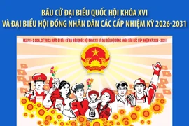 Bầu cử Quốc hội và HĐND: Dự báo thời tiết khu vực Hà Nội ngày Chủ nhật - 15/3/2026