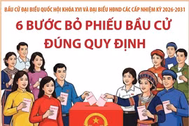 Bầu cử Quốc hội và HĐND: 6 bước bỏ phiếu bầu cử đúng quy định